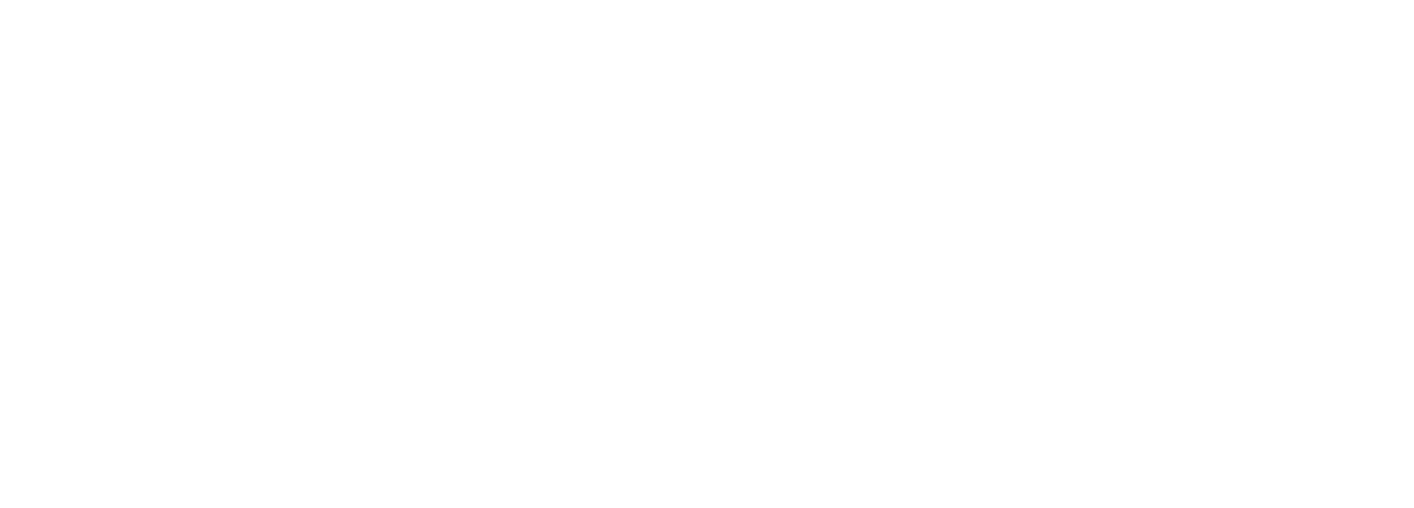 ALCO — Advisory and Servicing Solutions
